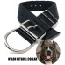 Zgarda Heavy Dutty Amstaff 50mm - Neagra